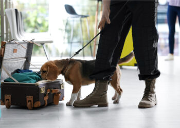 Bremen-mit-den-meisten-Drogenkontrollen