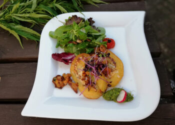 Kartoffelroulade-mit-Pfifferlingen-und-Hanf-1