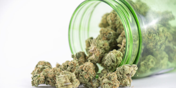 Kein-medizinisches-Cannabis-bei-Hodenprothese.