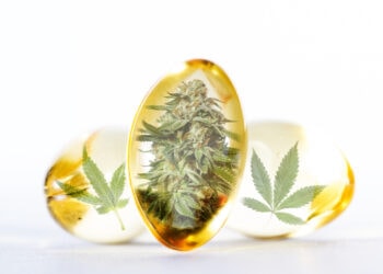 Schmerzinitiative-Cannabinoide-2021-.