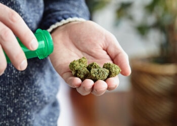 Cansativa-startet-Vertrieb-von-medizinischem-Cannabis