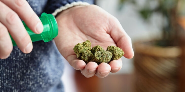 Cansativa-startet-Vertrieb-von-medizinischem-Cannabis