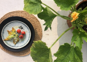 Gebackene-Zucchiniblüten-mit-Ricotta-Hanf-Creme-gefüllt