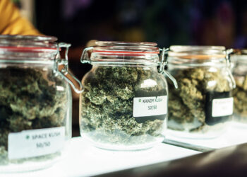 Legale-Ausgabestellen-haben-kaum-Einfluss-auf-Konsum