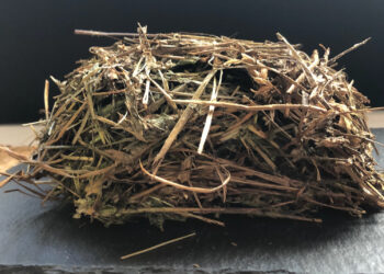 Rinderfilet-vom-Bio-Alm-Rind-im-Hanf-Heu-Mantel