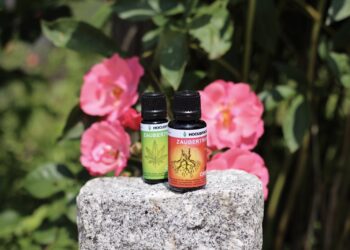 Von-der-Wurzel-bis-zur-Blüte-Hocuspocus-Zaubertropfen