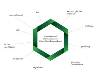 bvc-verband-cannabinoidunternehmen
