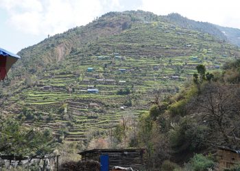 Hanf-in-Nepal