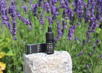 Harmonie-von-Hanfsamen-PharmaHemp-Seed-oil-CBD-Drops