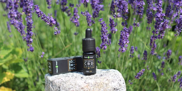 Harmonie-von-Hanfsamen-PharmaHemp-Seed-oil-CBD-Drops