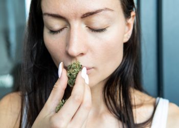 Werden-CBD-Hanfblüten-legal