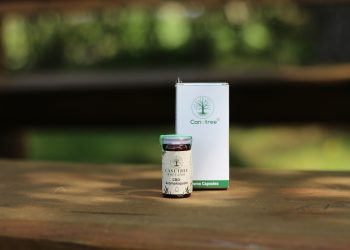 Canutree-Vollspektrum-CBD-Kapseln