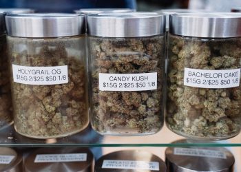 Legalisierung-führt-nicht-zu-Problemkonsum_-USA