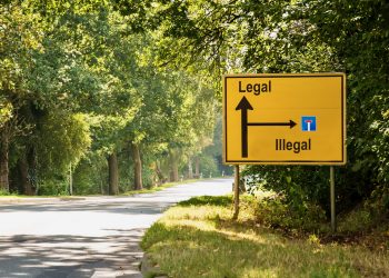 DHV-und-Experten-appellieren-an-Politik