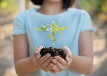 Hanf-muss-in-den-Koalitionsvertrag-Petition-für-Umwelt-und-Klima