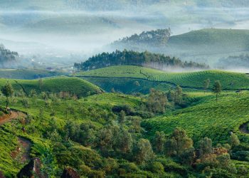 Schritte-in-Richtung-Mutter-Natur-1