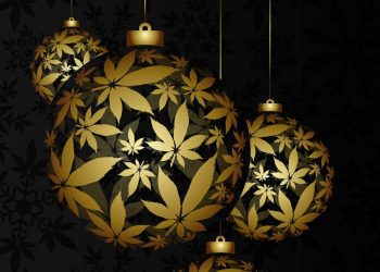 Bavaria-Weed-startet-Weihnachtsaktionen