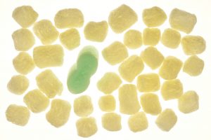 Hanftan Biyoplastik: Fırsatlar ve Zorluklar
