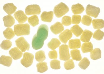 Bioplastik-aus-Hanf-