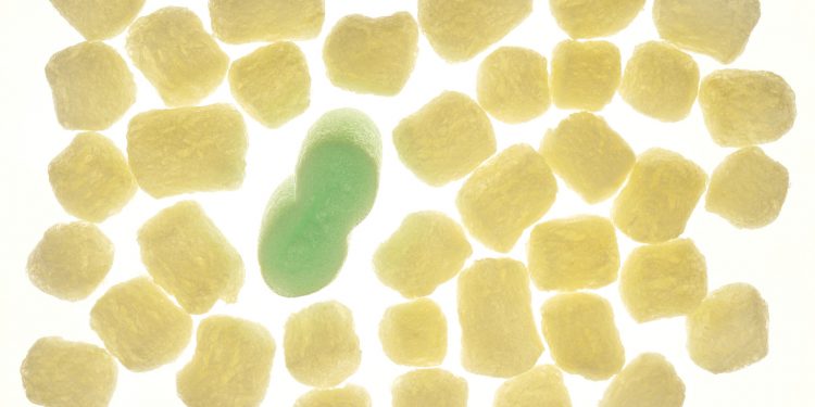 Bioplastik-aus-Hanf-
