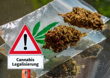 Cannabis-Legalisierung in Deutschland – ab wann denn nun wirklich?