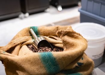 Die-gesundheitlichen-Vorteile-von-Kakao-und-Hanf