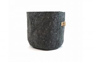 Tipps für ein gesundes Wurzelwachstum von Hanfpflanzen