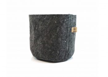 Tipps-für-ein-gesundes-Wurzelwachstum-deiner-Hanfpflanzen-1