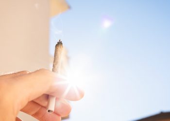 Arbeiterwohlfahrt NRW pro Legalisierung