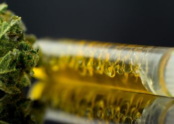 Cannabis-Extrakte – Gamechanger im medizinischen Bereich?