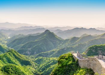 Cannabis war in China eine Nahrungsquelle