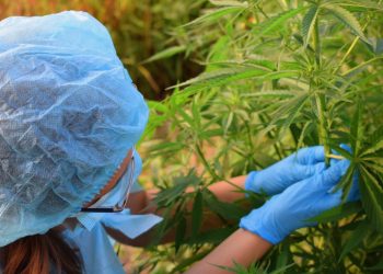 DRAPALIN arbeitet an Studie zu Cannabistherapie bei ADHS