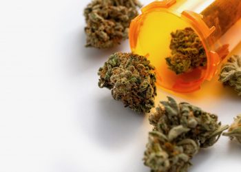 Regress wegen Cannabisverordnung – Ausrede oder reale Gefahr?