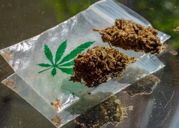 3 Jahre Gefängnis für Münchner Cannabis Arzt