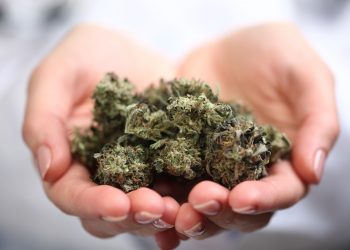 Algea Care – mehr Evidenz für medizinisches Cannabis