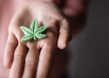 BKA warnt vor THC-haltigen Lebensmitteln