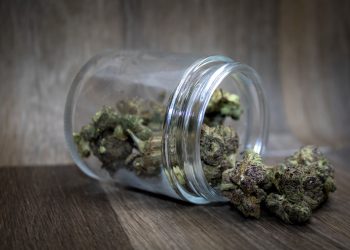 CBG in medizinischem Cannabis – Das bessere CBD?