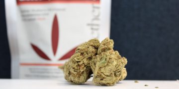 Glueberry OG von Together Pharma