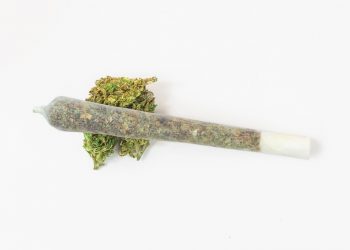 Suchtselbsthilfe Synanon kritisiert Legalisierungspläne