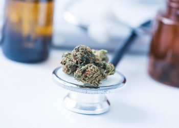 Eigene Begleiterhebung bezüglich Cannabis als Medizin