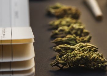 Vereinfachte Verschreibung von Cannabis als Medizin