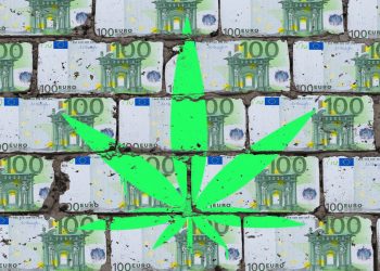 66 Prozent würden laut Studie in den Cannabis-Markt investieren