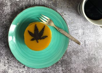 Infundierter Mango-Cheesecake mit Hanfsamenboden