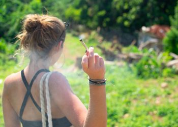 Christian Lindner: Joints bald legal