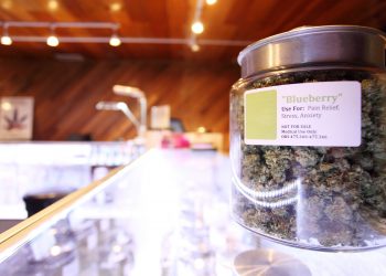 1,6 Mio. Bundesbürger könnten Cannabis-Medikamente verwenden