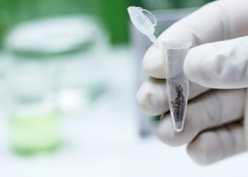 CBD Studien und wissenschaftliche Forschung zur Wirkung von Cannabidiol 