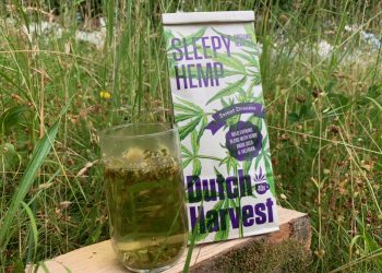 Dein Begleiter ins Reich der Träume – Sleepy Hemp Tea von Dutch Harvest 