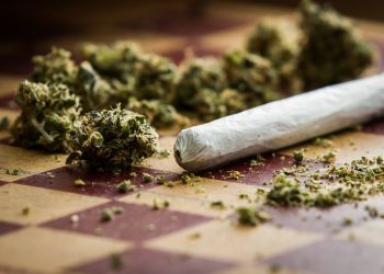 Sechs Euro Steuern auf jedes Gramm Cannabis denkbar