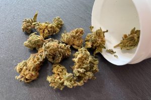 Gorilla Glue CBD Blüten von Charlie Green