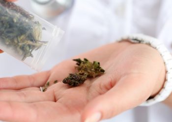 Ab August Cannabismedizin in der Schweiz unkompliziert?
